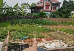 Đất Kinh Doanh Đông Lai Quang Tiến Giá Tốt... Bán đất tại Sóc Sơn, Hà Nội 01