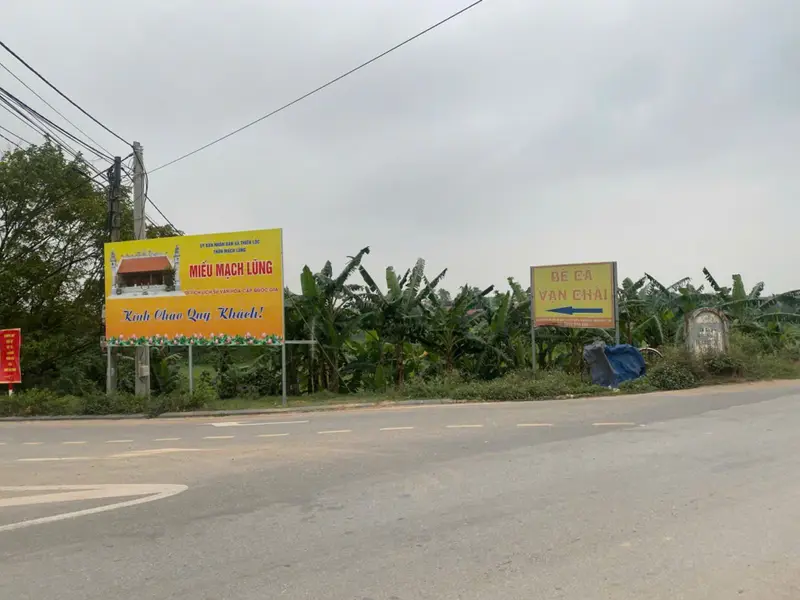 Cơ hội vàng sở hữu đất Đông Anh ô tô vào tận nơi, giá hấp dẫn... Bán đất tại Thiên Lộc, Hà Nội 01