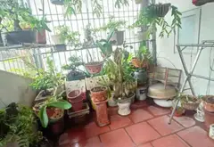 Ô TÔ NGỦ TRONG NHÀ - SÁT PHỐ - LÔ GÓC 3 MT - MẶT TIỀN QUYỀN LỰC 6M - TẶNG FULL NỘI THẤT.... Bán nhà riêng tại Long Biên, Hà Nội 06