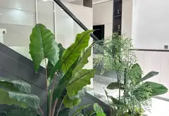 Nhà mặt phố siêu chất, mặt tiền rộng sang trọng giữa trung tâm Tam Kỳ... Bán nhà mặt phố tại An Biên, Hải Phòng 05