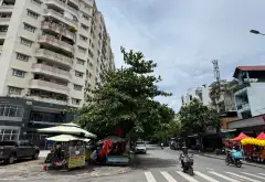 Nhà mặt phố Nguyễn Quang Trung - Đầu tư siêu lợi nhuận tại Gò Vấp... Bán nhà mặt phố tại An Hội Tây, Hồ Chí Minh 16