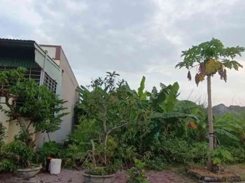 Lô đất 80m2 đường rộng ba làn ô tô tại khu tái định cư Gia Minh, Thủy Nguyên... Bán đất tại Thủy Nguyên, Hải Phòng 01