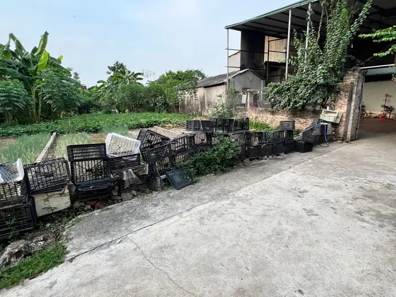 Mảnh Đất Hiếm Hai Mặt Thoáng Sáng, Tiện Ích Đầy Đủ Tại Khu Vực Thuận Thành... Bán đất tại Ninh Xá, Bắc Ninh 01