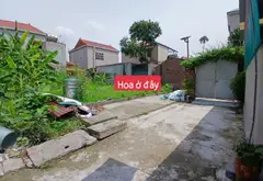 Đất đẹp Sóc Sơn gần KCN Nội Bài, tiềm năng tăng giá... Bán owner_side tại Sóc Sơn, Hà Nội 02