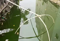 Bán nhà riêng 1 tầng diện tích 575m2 tại Phường Trường Thọ, Thủ Đức giá 30 tỷ... Bán nhà riêng tại Thủ Đức, Hồ Chí Minh 06