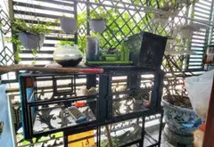 Bán nhà 3 tầng 4 phòng ngủ tại Phường Phú Thạnh Tân Phú... Bán nhà riêng tại Phú Thạnh, Hồ Chí Minh 15