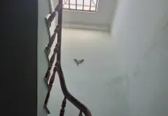 Bán nhà riêng 4 tầng 99.6m2 ở phường 1, quận 8 giá 12.5 tỷ Dương Bá Trạc... Bán nhà riêng tại Chánh Hưng, Hồ Chí Minh 10