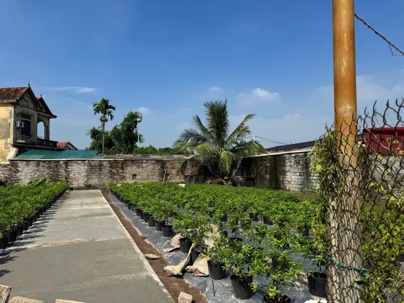 LK2 Thôn Bãi Sậy3 98m2Đất, mặt tiền 4.5m, dài 20m, giá 3.3 tỷ.... Bán đất tại Văn Giang, Hưng Yên 01