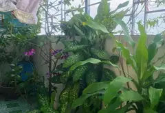 Căn hộ tiện nghi tại Định Công, sống hiện đại giữa lòng Hà Nội... Bán căn hộ chung cư tại Định Công, Hà Nội 07