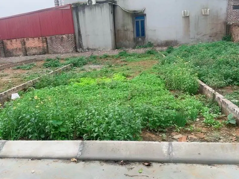 Đất đẹp Sóc Sơn, đường rộng oto vào tận nơi... Bán đất tại Sóc Sơn, Hà Nội 01