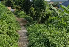 Bán đất vườn rộng tại xã Liên Khê, Thủy Nguyên, Hải Phòng, tiện ích đa năng... Bán đất tại Lưu Kiếm, Hải Phòng 04