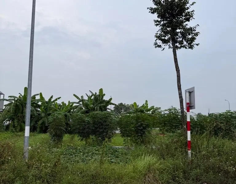 Bán đất 100m2 mặt tiền 5m xã Đại Đồng Bắc Ninh pháp lý rõ ràng... Bán đất tại Đại Đồng, Bắc Ninh 01