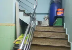 Mặt tiền Lũy Bán Bích kinh doanh đỉnh, nở hậu tài lộc, sát Q11-Q6, giá cực tốt... Bán nhà mặt phố tại Tân Phú, Hồ Chí Minh 03