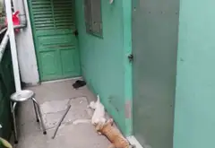Nhà mặt tiền kinh doanh Lê Hồng Phong -Dĩ An 8ty9.... Bán nhà mặt phố tại Tân Đông Hiệp, Hồ Chí Minh 06