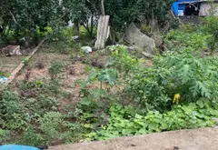 Bán đất thôn Hầu Lâm Động Thủy Nguyên diện tích 58,1m2 hướng Nam pháp lý rõ ràng... Bán đất tại Thiên Hương, Hải Phòng 05