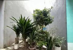 Đất Phân Lô Hiếm Có Tại Duyên Thái, Ngọc Hồi... Bán đất tại Ngọc Hồi, Hà Nội 05