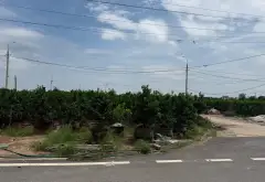 Đất Lô Góc Mễ Sở Siêu Hiếm - Đầu Tư Sinh Lời Tại Trung Tâm... Bán đất tại Mễ Sở, Hưng Yên 06
