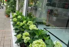 Biệt thự ven tiện ích Vinhomes Imperia hướng Tây Nam, 4 tầng hiện đại... Bán biệt thự, liền kề tại Hồng Bàng, Hải Phòng 06