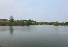 BÁN ĐẤT THỔ CƯ 438M GIÁ GIẢM SÂU... Bán đất tại Tân Dĩnh, Bắc Ninh 06