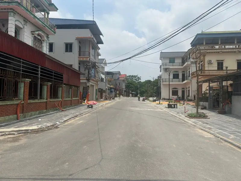 Bán đất thổ cư 80m2 hướng Nam tại Lương Quy, Đông Anh, Hà Nội... Bán đất tại Thư Lâm, Hà Nội 01