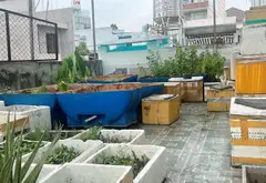 Nhà 5 tầng hẻm xe tải sát công viên Lê Thị Riêng, giá cực tốt... Bán nhà mặt phố tại Tân Bình, Hồ Chí Minh 10