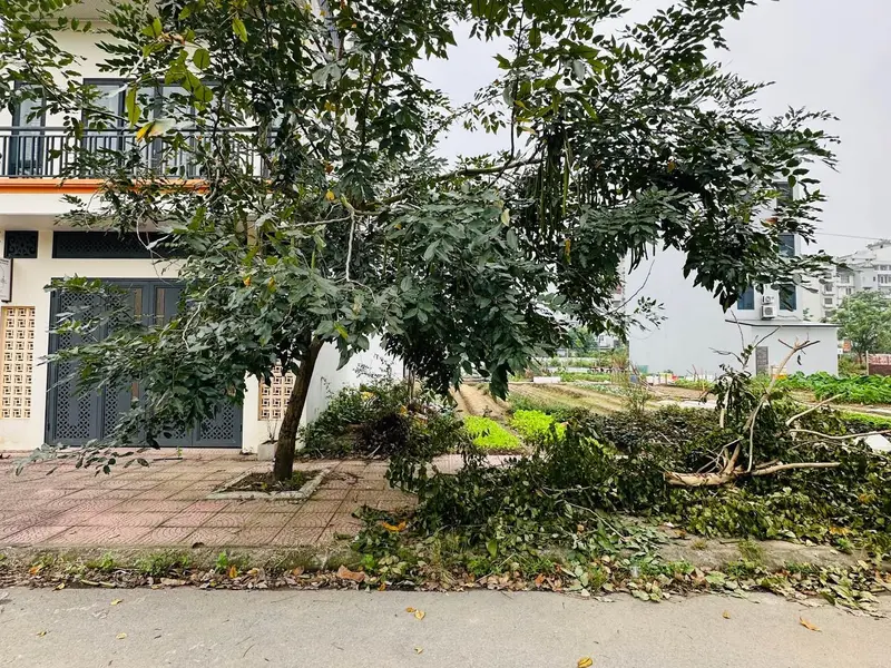 Bán đất phân lô khu đô thị Long Phương Trang Hạ, diện tích 110m², mặt tiền 5.5m... Bán đất tại Đồng Nguyên, Bắc Ninh 01