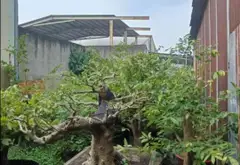 Nhà mặt tiền kinh doanh rộng ở xã Tân Vĩnh Lộc, Hồ Chí Minh... Bán nhà mặt phố tại Tân Vĩnh Lộc, Hồ Chí Minh 08