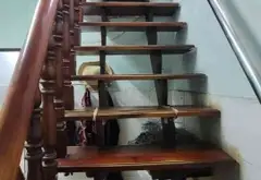 Bán nhà riêng Tân Bình diện tích 37m2, pháp lý đầy đủ, giá 5 tỷ đồng... Bán nhà riêng tại Bảy Hiền, Hồ Chí Minh 04