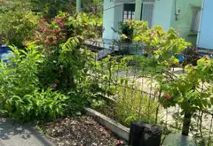 Bán nhà mặt tiền đường Đổng Thị Thiệm, Bình Mỹ - Củ Chi, 1070 m2, giá 6.9 tỷ... Bán owner_side tại Bình Mỹ, Hồ Chí Minh 01