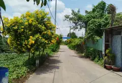 Bán nhà mặt phố 4 tầng, 250m2, 2 mặt tiền tại Hưng Nhơn... Bán nhà mặt phố tại Tân Nhựt, Hồ Chí Minh 02
