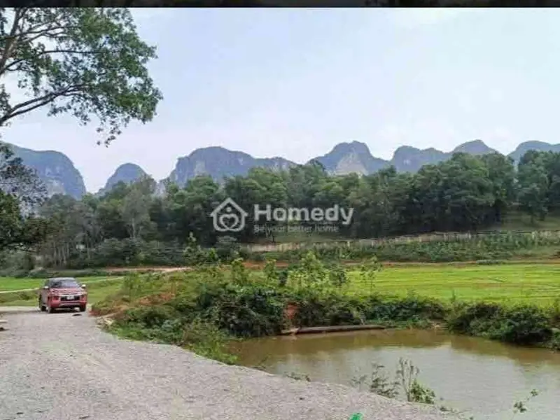 Bán đất 883m² xã Trần Phú, Hà Nội phù hợp phân lô tách bán... Bán đất tại Trần Phú, Hà Nội 01