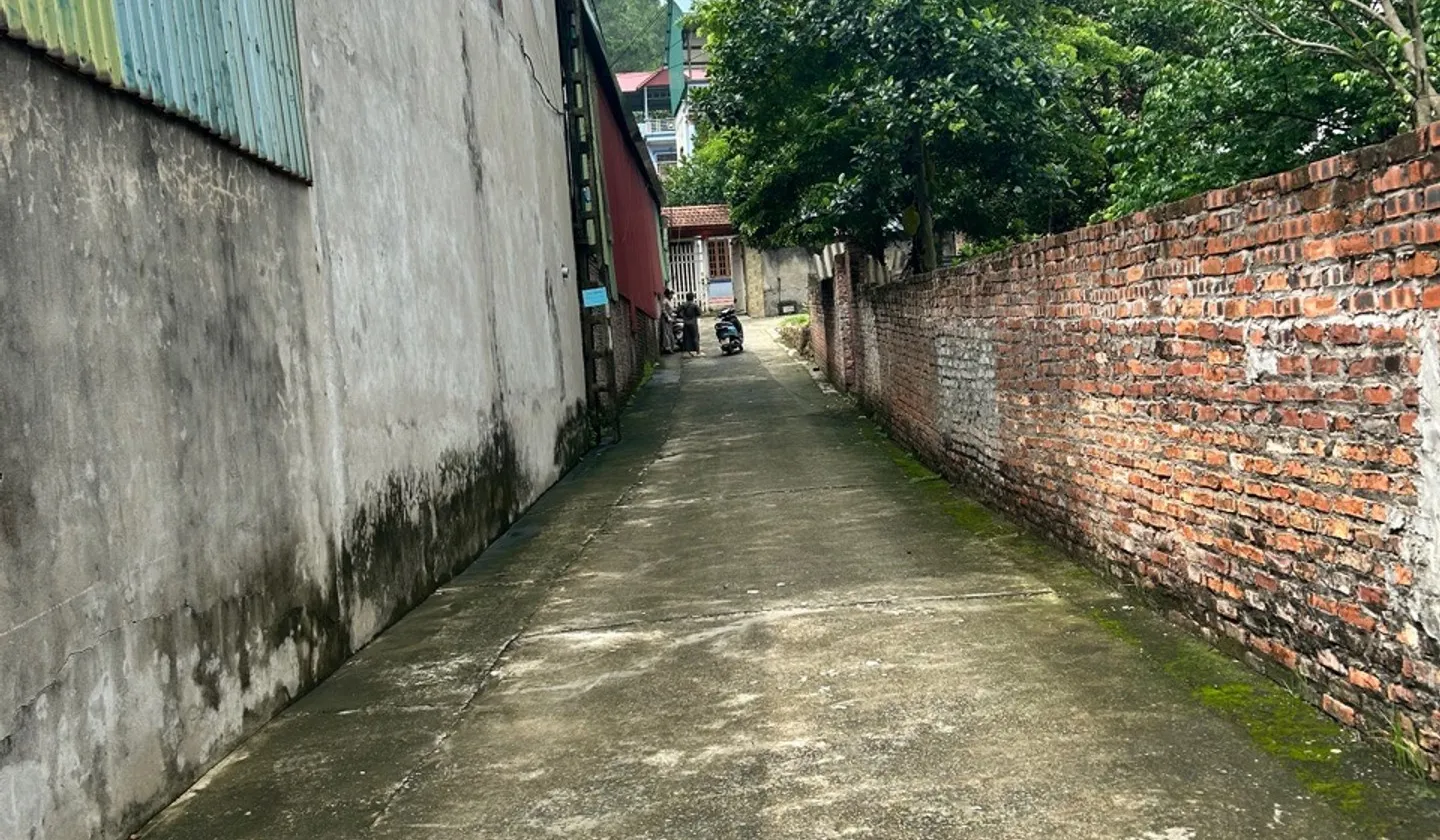 Cơ hội hiếm có sở hữu đất mặt tiền ô tô vào ngay tại Phật Tích, Bắc Ninh... Bán đất tại Phật Tích, Bắc Ninh 01