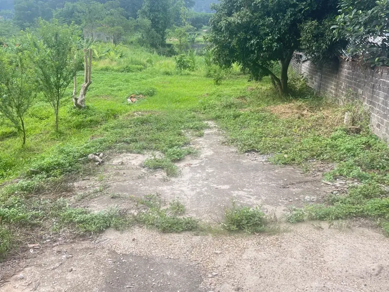 Bán đất rộng 1800m² tại xã Trung Giã, địa thế đẹp hướng hồ, lưng tựa núi... Bán đất tại Trung Giã, Hà Nội 01