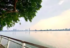3.000 USD/THÁNG – DÒNG TIỀN ĐANG VẬN HÀNH TẠI TÂY HỒ... Bán nhà mặt phố tại Tây Hồ, Hà Nội 01