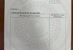 Bán đất 240m² mặt tiền 12m tại Phường Song Liễu, phù hợp kinh doanh hai mặt thoáng... Bán đất tại Song Liễu, Bắc Ninh 09