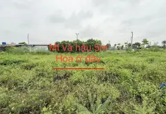 Cơ hội sở hữu lô đất tiềm năng tại Yên Trung, Bắc Ninh... Bán đất tại Yên Trung, Bắc Ninh 01
