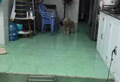 Nhà 2 mặt tiền, 2 tầng ngay cầu Hậu Giang, 3 phòng ngủ... Bán nhà riêng tại Bình Phú, Hồ Chí Minh 02