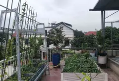 Nhà 3 tầng hiện đại, view đẹp ở Nội Bài, Hà Nội... Bán nhà riêng tại Nội Bài, Hà Nội 09