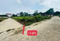 Cơ hội hiếm có sở hữu lô đất góc full thổ cư tại khu vực sôi động!... Bán đất tại Kim Anh, Hà Nội 01