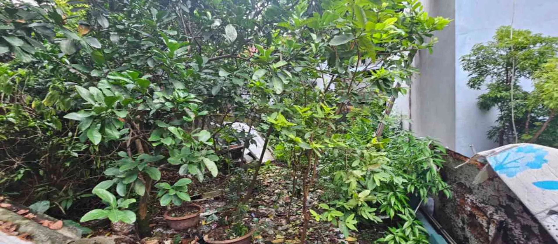 Bán đất hướng Đông Bắc tại Ngọc Trục, diện tích sử dụng 40m2, pháp lý rõ ràng... Bán đất tại Đại Mỗ, Hà Nội 01