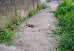 Cơ Hội Vàng Sở Hữu Đất Trung Tâm Phù Ninh - Vị Trí Đỉnh, Kết Nối Thuận Tiện... Bán đất tại Việt Khê, Hải Phòng 06