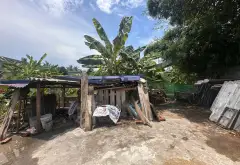 Cơ Hội Vàng Sở Hữu Đất Trung Tâm Bát Trang, An Lão Giá Đầu Tư Hiếm Có... Bán đất tại An Lão, Hải Phòng 03