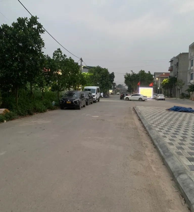 Biệt thự lô góc Đan Phượng - Ô tô tránh, kinh doanh sầm uất... Bán biệt thự, liền kề tại Đan Phượng, Hà Nội 01