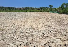 Bán đất 11.000m2 xã Hiệp Phước Nhà Bè giá 55 tỷ... Bán đất tại Hiệp Phước, Hồ Chí Minh 02