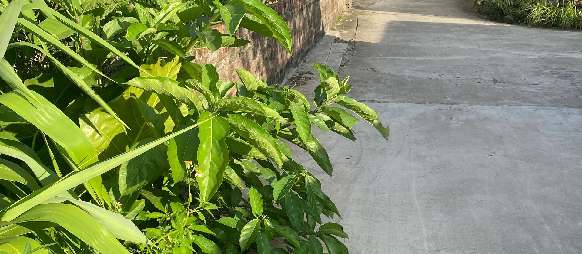 Bán đất thổ cư 93,6 m² tại xã Quỳnh Bội, gần sân bay Gia Bình... Bán đất tại Gia Bình, Bắc Ninh 01