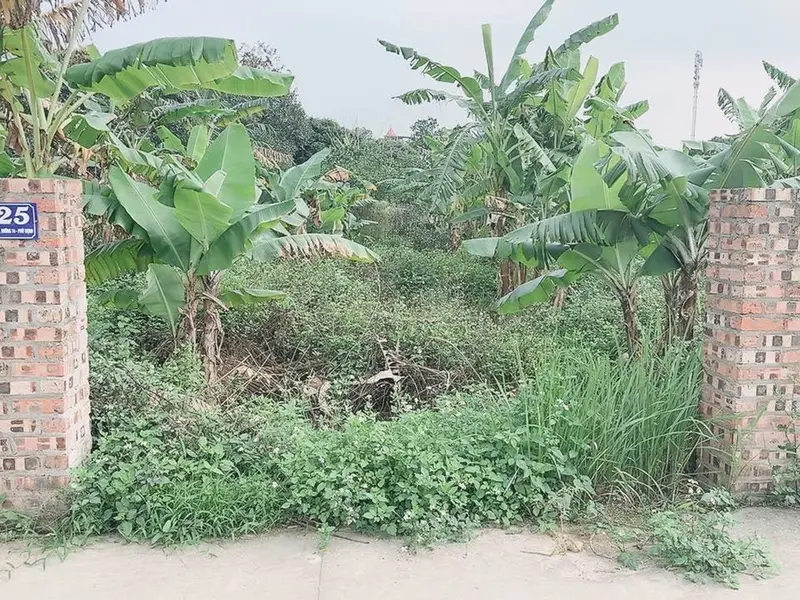 Cơ hội sở hữu đất phân lô ô tô tránh tại Kim Anh, TP Hà Nội giá tốt... Bán đất tại Kim Anh, Hà Nội 01