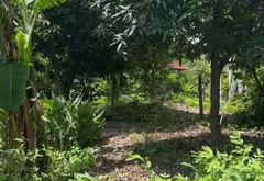 Nhà mặt phố Nguyễn Ảnh Thủ, diện tích lớn 2200m, tại Hóc Môn... Bán nhà mặt phố tại Đông Thạnh, Hồ Chí Minh 03