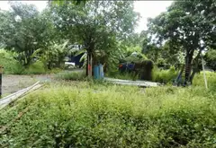 Đất Vườn Lớn Gần Bệnh Viện Nhi Đồng 3 - Cơ Hội Vàng Đầu Tư... Bán đất tại Tân Nhựt, Hồ Chí Minh 14