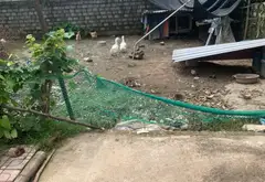 Bán đất thôn Quán Trang, huyện An Lão, Hải Phòng - Lô đất vuông vắn, pháp lý rõ ràng... Bán đất tại An Lão, Hải Phòng 05