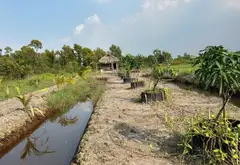 B.á.n đất Hóc Môn, sổ hồng chính chủ, 1583m2, gần chợ, Đại học lao động xã hội…, nhỉnh 5 tỷ... Bán đất tại Đông Thạnh, Hồ Chí Minh 03